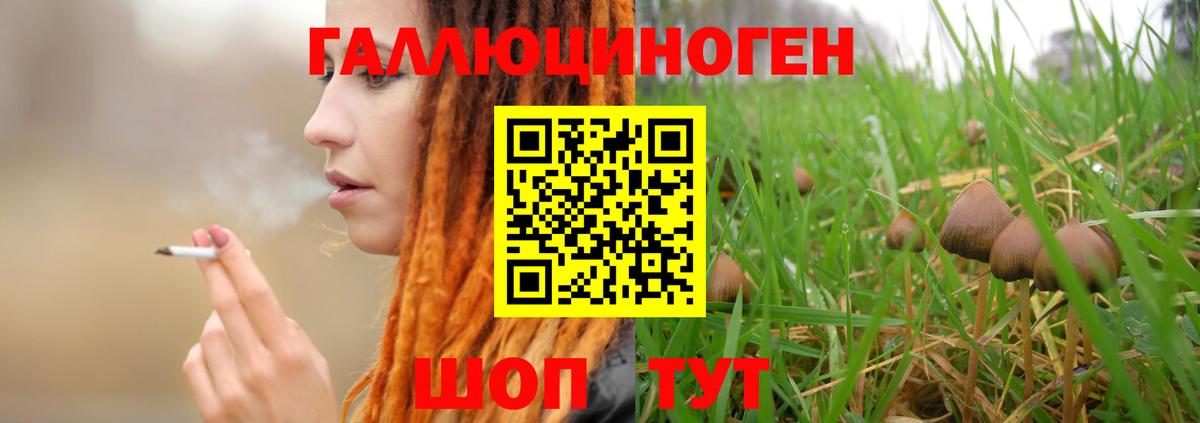 Асино  Галлюциногенные грибы Magic Shrooms  Вход с VPN 